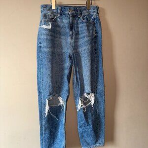 American Eagle Distressed Denim Jean